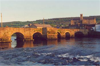 The old bridge, Carrickbeg, Co Waterford, Ireland