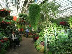 Inside the Conservatory, Fitzroy Gardens