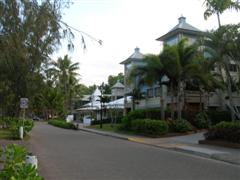 Palm Cove